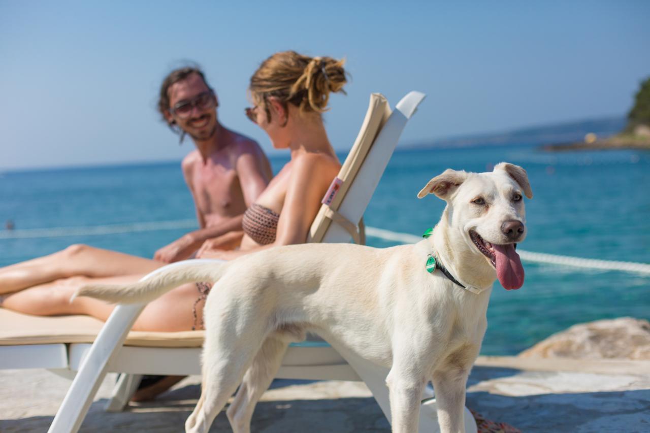 Valamar Camping Jezevac 克尔克 外观 照片